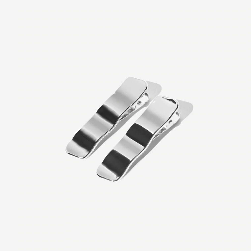 The CLIP THEORY clips "Argent clips", 2 pcs.