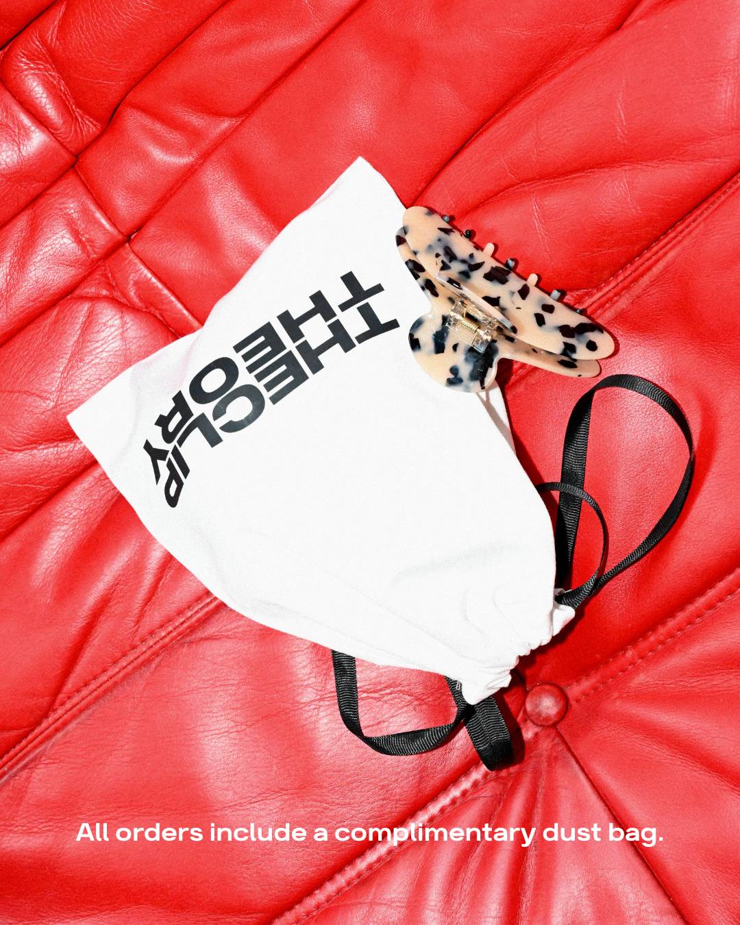 The CLIP THEORY hairpin "Muse clip" - size L