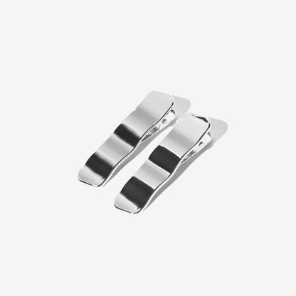 The CLIP THEORY clips "Argent clips", 2 pcs.