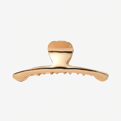 The CLIP THEORY segtukas "Celeste clip"
