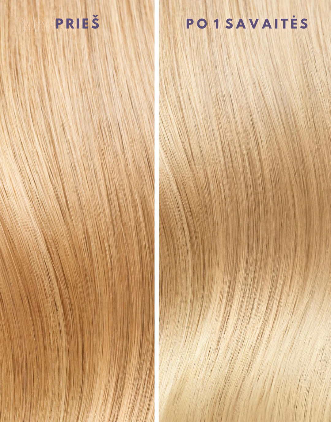 MOROCCANOIL Argano aliejukas šviesiems, šviesintiems ir žiliems plaukams "Treatment Purple"