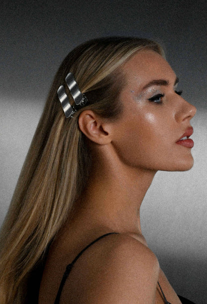 The CLIP THEORY clips "Argent clips", 2 pcs.