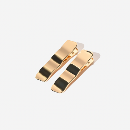 The CLIP THEORY clips "Argent clips", 2 pcs.