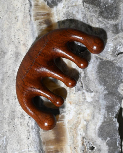 The CLIP THEORY galvos masažuoklis - šukos "Scalp Massager Comb"