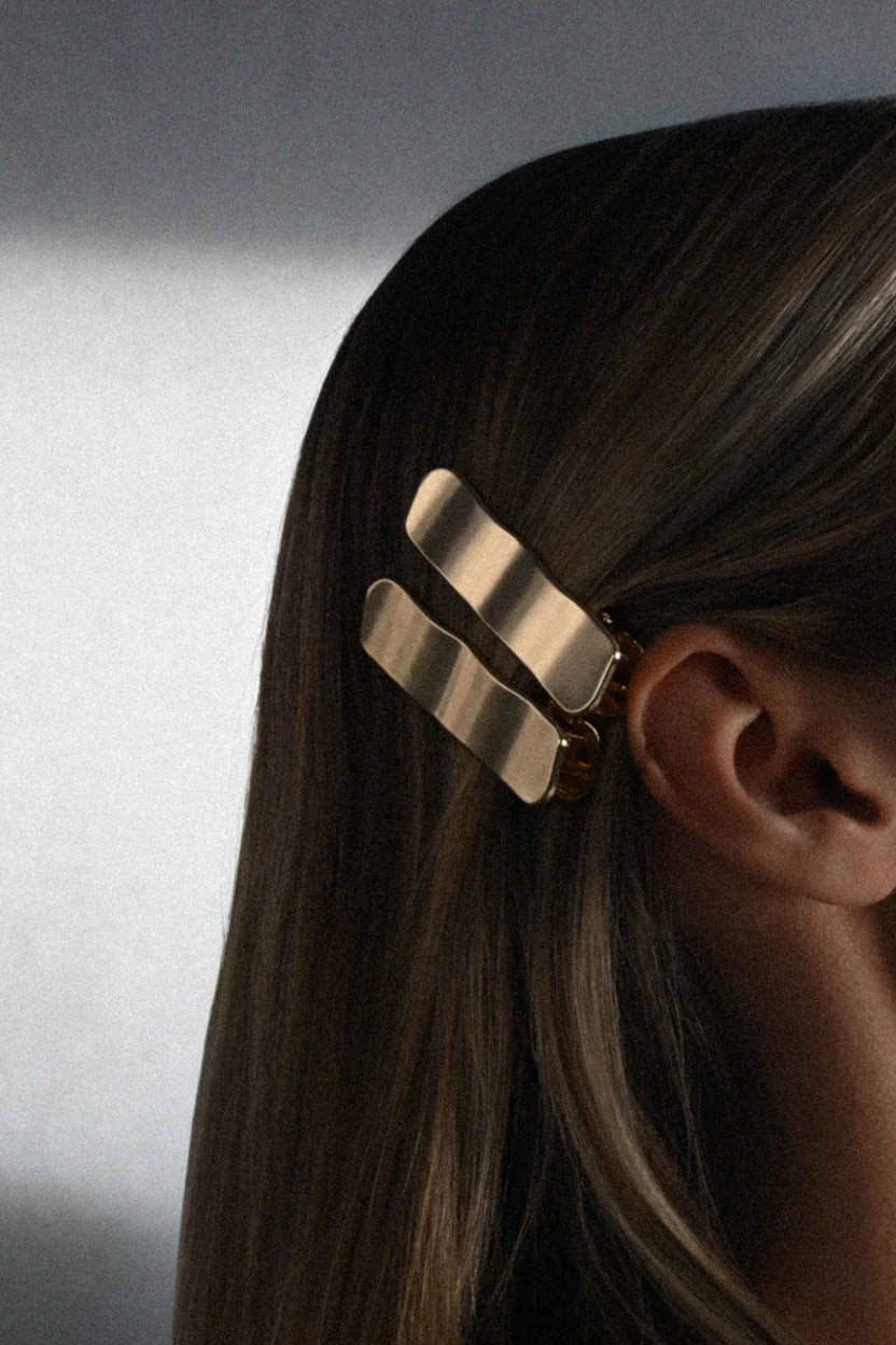 The CLIP THEORY clips "Argent clips", 2 pcs.