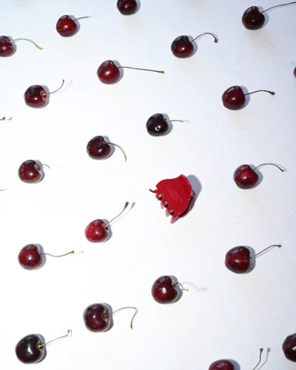 The CLIP THEORY segtukas "Iris Clip"