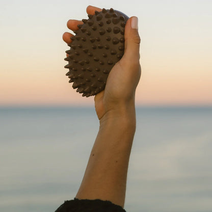 ECO by SONYA "Body Workout" Body Massager